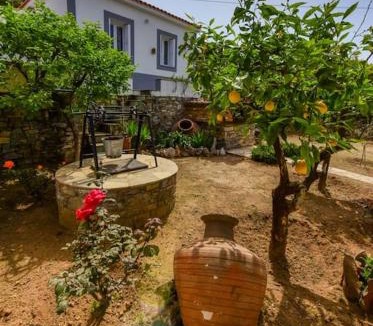 Samos Town House | The Kalivi