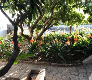 Prince Albert House | The Lemon Tree