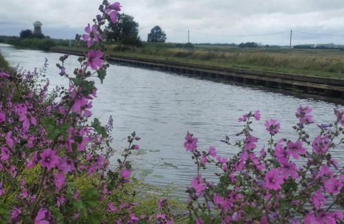 West Somerton Bed & Breakfast | The Lion