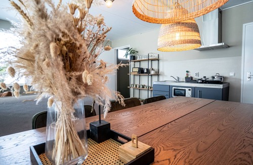 Groningen Apartment | The Lion King