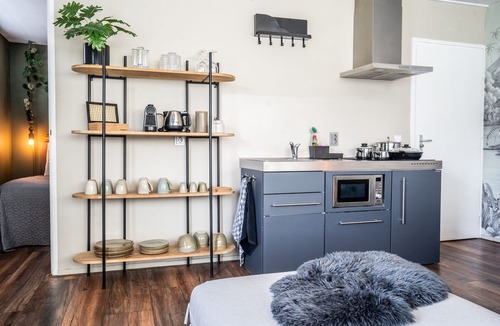 Groningen Apartment | The Lion King
