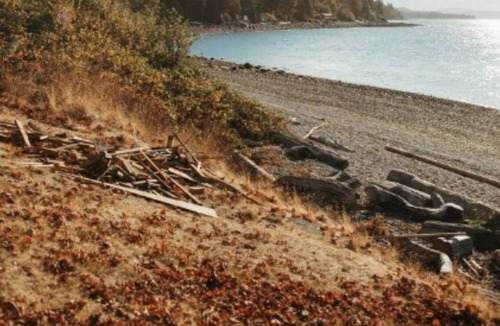 Sliammon Cottage | The Little Beach Side CottageA23