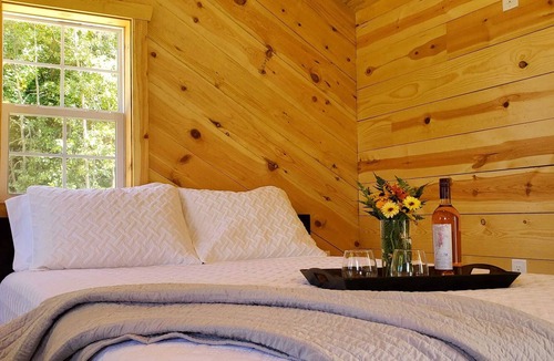South Haven Cabin | The little Blue Cottage on Forest Lake