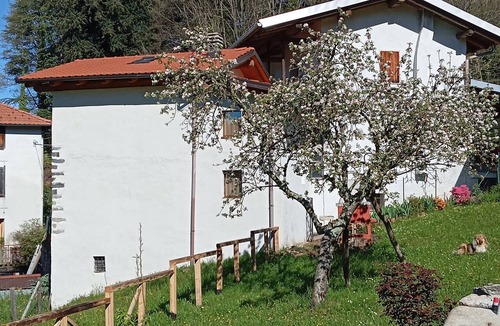 Breia House | The Little House