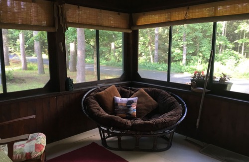 Lake Luzerne-Hadley Cottage | The Loon-ey Bin - Loon themed cottage less than 10 miles to Lake George