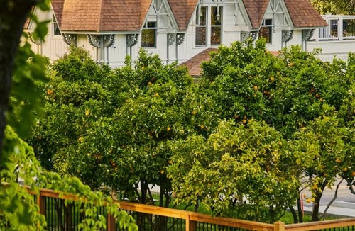 Healdsburg Hotel | The Madrona