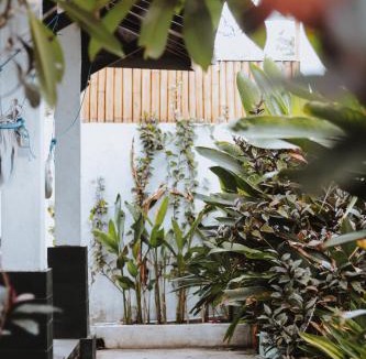 Gili Trawangan House | The Mally Homestay
