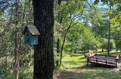 Mid America Cabin | The Maple at Hamilton Cove ~ Pet-Friendly Lake Area Cabin