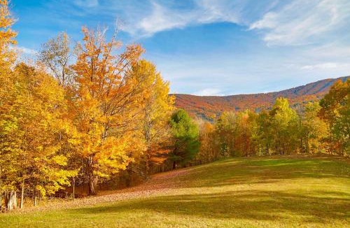 Windham House | 'The Mountain House:' Windham Retreat w/Hot Tub!