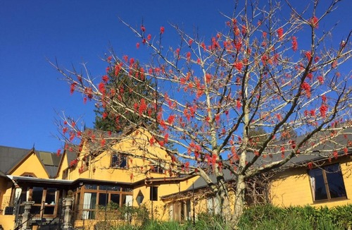Upper Moutere Cabin | The Mudcastle