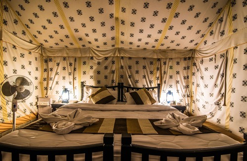 Pushkar Hotel | The Narayan Resort