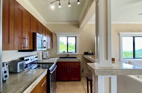 South Coast Apartment | The Nest at Surewinds in beautiful St Thomas with WiFi, AC
