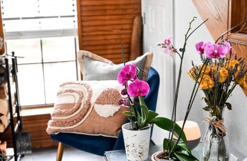 Southwest Arlington House | The Nest