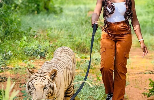 Southern Province Cabin | The Nkhosi Livingstone Lodge and Spa