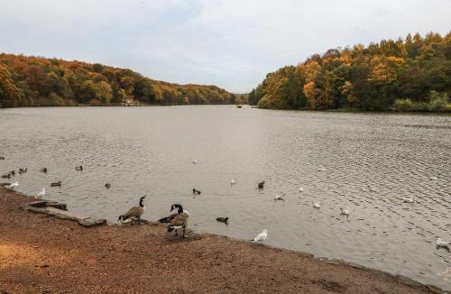 Newmillerdam House | The Old Dairy