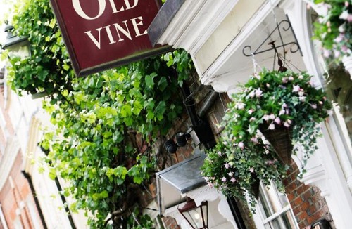Winchester Hotel | The Old Vine
