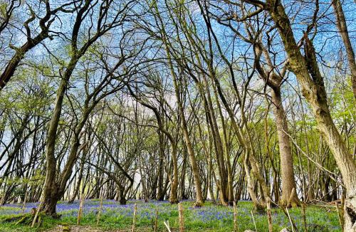 Wadhurst House | The Old Workshop, Wadhurst