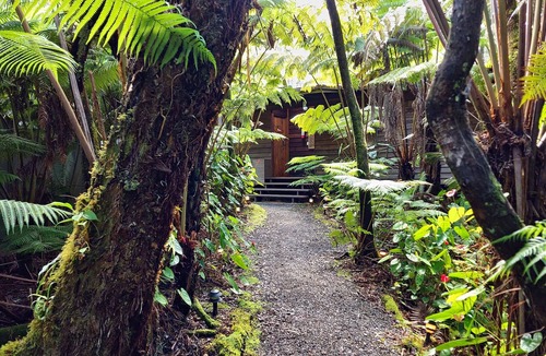 Volcano Cabin | The Pacifica Inn The Nene Room