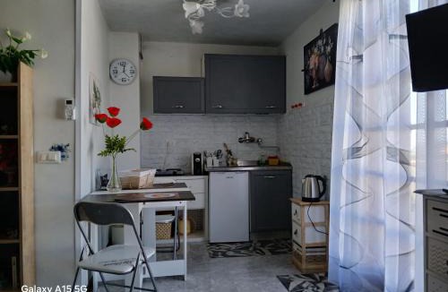 Monterotondo Apartment | the panoramic terrace of Fiore Pelli