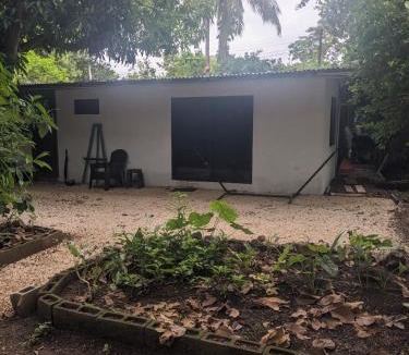 Coco Apartment | The Paradise Jungle Studio