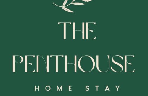 Jaipur Bed & Breakfast | The Penthouse