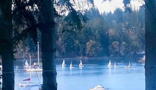 Bainbridge Island House | The Perch at Eagle Harbor