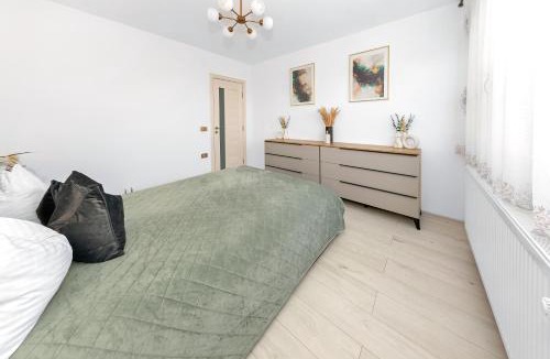 Satu Mare Apartment | The performant