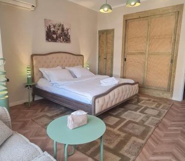 Gezira Apartment | The Pineapple Studio Central Zamalek