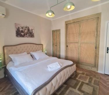 Gezira Apartment | The Pineapple Studio Central Zamalek