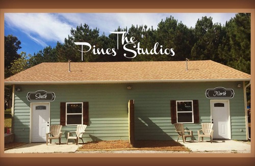 Harrison Apartment | The Pines Studio North Beautifully Decorated Minutes to the Buffalo River