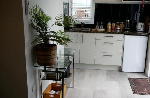 Napier Bed & Breakfast | The Pool House Bed & Breakfast - Near Marine Parade Napier