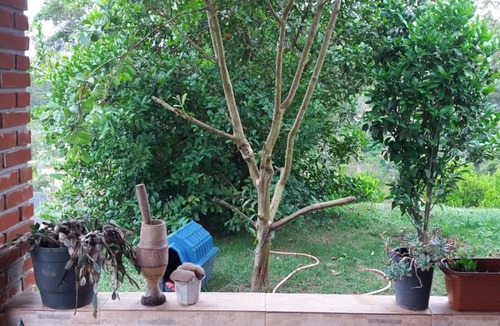 Mato do Gado House | The property accommodates 11 people.