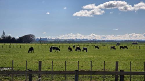 Kairanga House | The Quiet Paddock