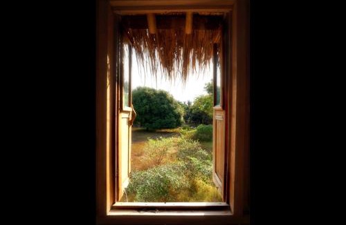Gili Meno Hostel | The Rabbit Tree Hostel