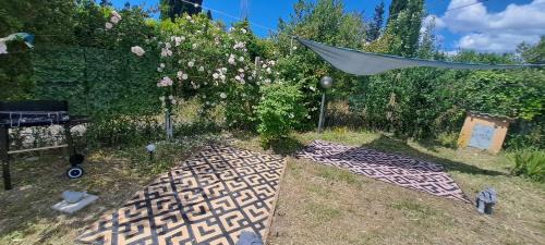 Zona XLV Castel di Guido Apartment | The Rainbow House