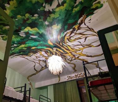 Old City Hostel | The Re-Born Hostel