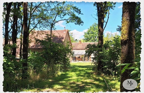 Villefranche-sur-Cher House | The red edge of the forest