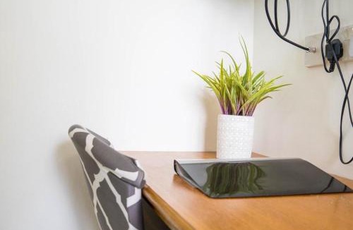 Easingwold Hotel | The Residence @ Jaipur