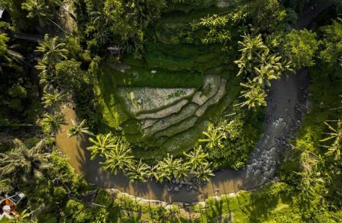 Sayan Villa | The Ridge Bali