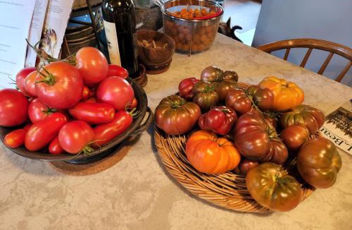 Alvadore Apartment | The Roost at Hidden Owl Farmstead - Luxury 1 Bdrm Cottage near Wineries and Lake