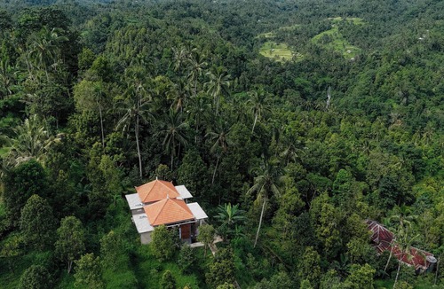Sawan Villa | The Sekumpul Villa