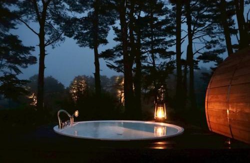 Narusawa Resort | The SENSE FUJI