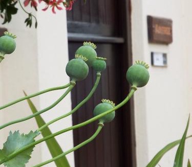Wootton Apartment | The Stableyard