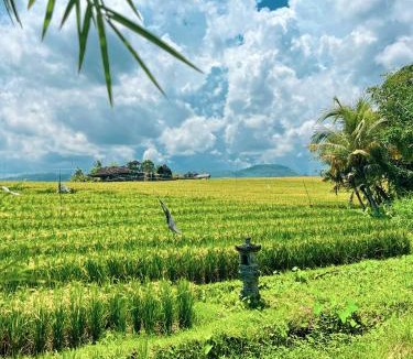Suraberata Villa | The SUN House