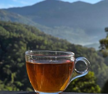 Kunchithanny House | The Tea Leaf Munnar