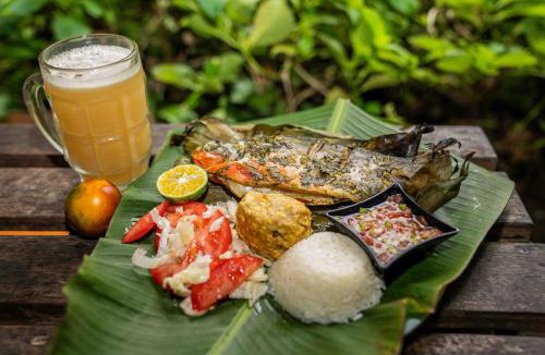 Mocoa Resort | The Temple Expedition, Fin del Mundo