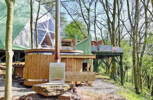 Farden Cottage | The Tree Dome - UKC6979