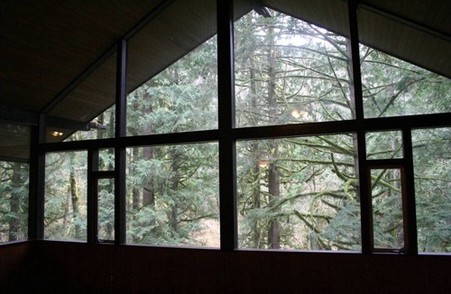 North Bend Cabin | The Treehouse~ Private & secluded but close to town!