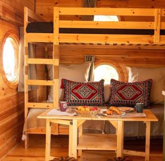 Rio House | the Treehouse Project