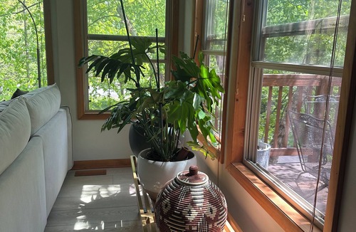 Berkeley Springs House | The Treehouse Retreat: Come Enjoy Contemporary Charm Amidst Woodland Serenity